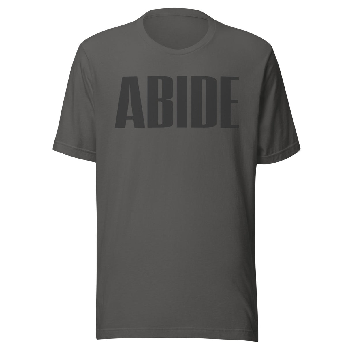Abide In The Gym Shirt