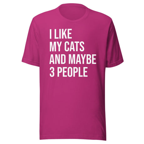 I Like My Cats and Maybe 3 People Shirt