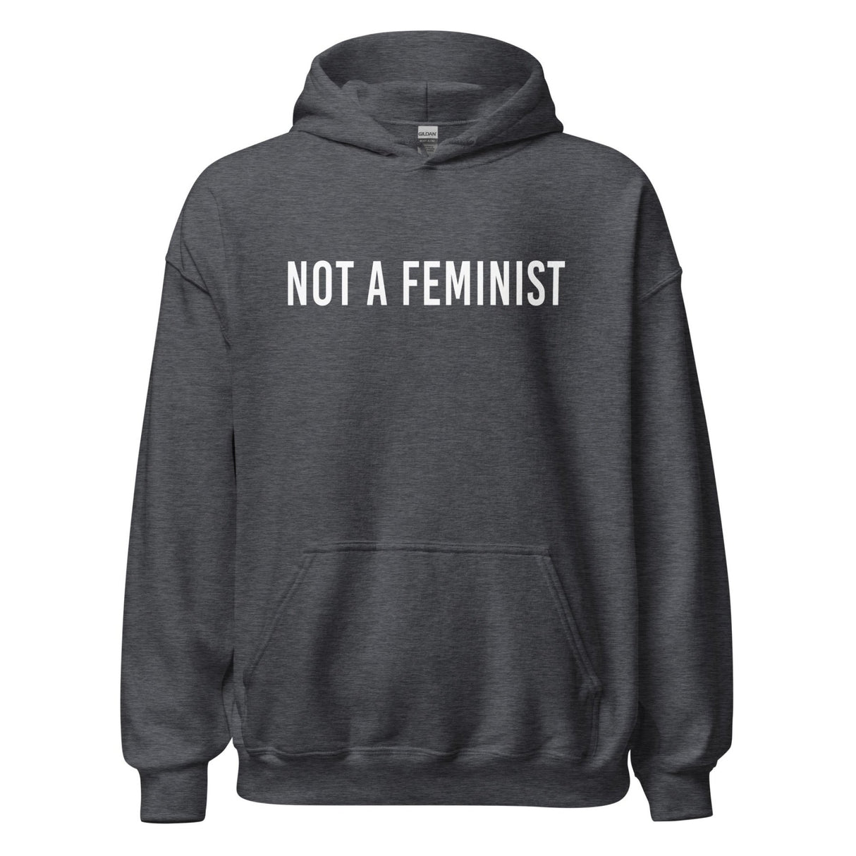 Not a Feminist Hoodie