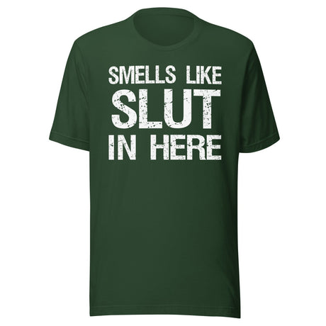 Smells Like Slut in Here Shirt