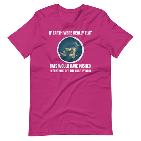 Flat Earth Cat Shirt