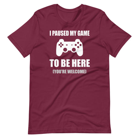 I Paused My Game To Be Here You're Welcome Shirt