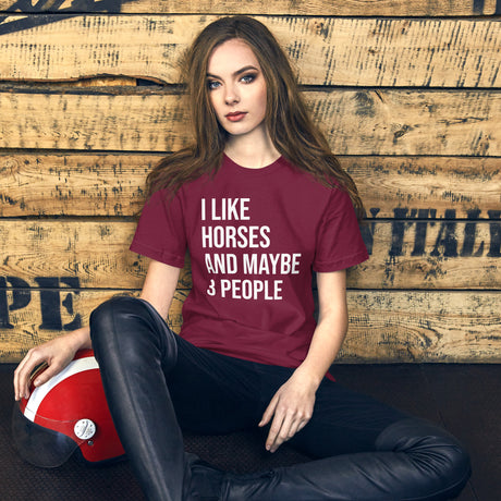 I Like Horses and Maybe 3 People Women's Shirt