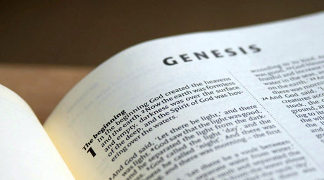 A Brief Summary of Genesis - Tee Shop USA