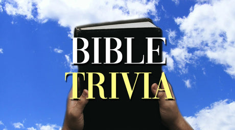 Bible Trivia for Devout Christians - Tee Shop USA