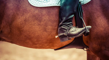 Horseback Riding Tips for Serious Riders - Tee Shop USA