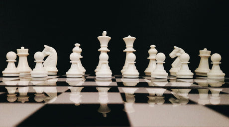 The Best Chess Openings - Tee Shop USA