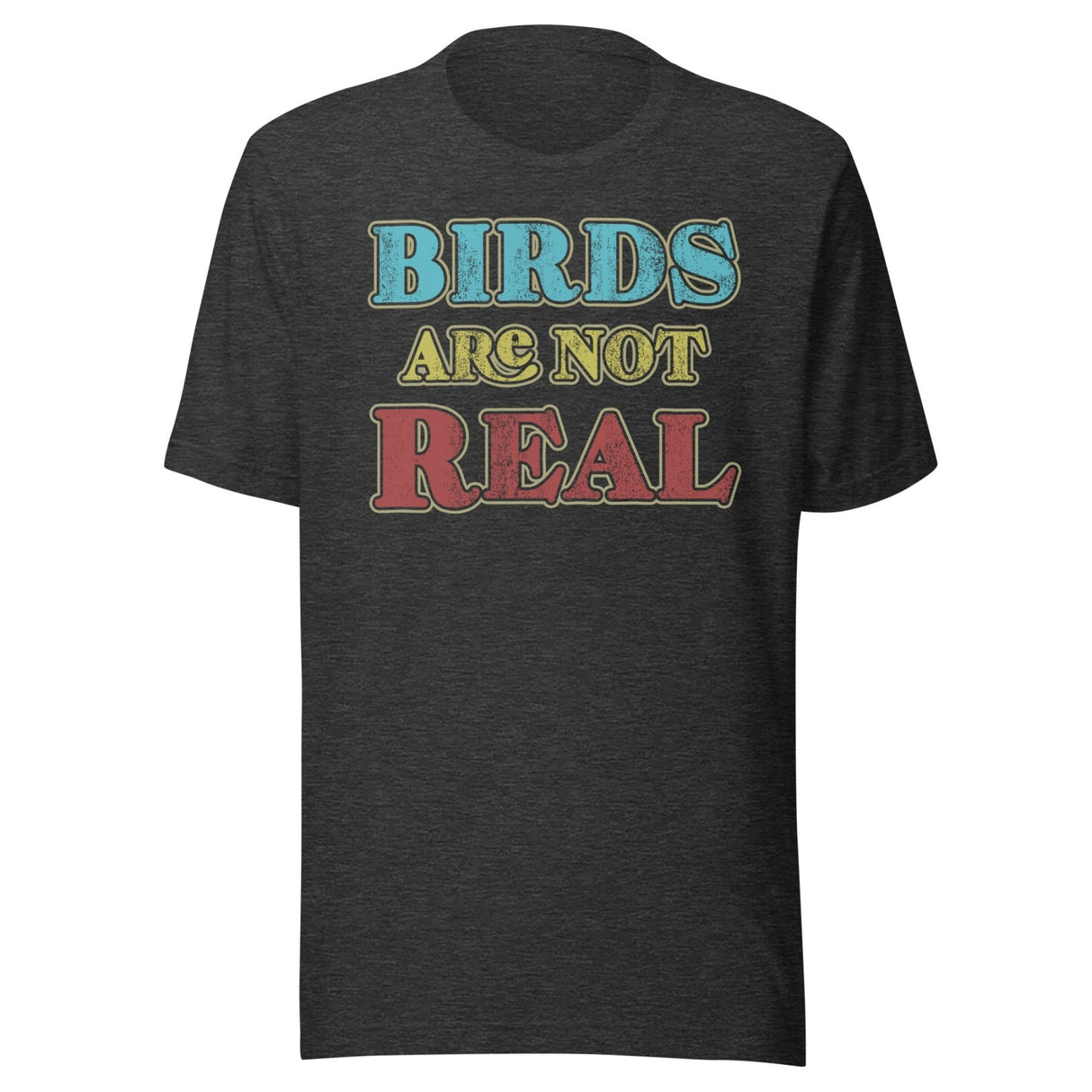 Birds Are Not Real Shirt