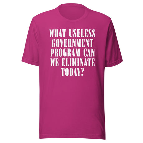 Eliminate Useless Government Programs Shirt