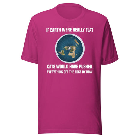 Flat Earth Cats Pushed Everything Off The Edge Shirt