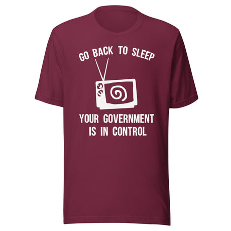 Go Back To Sleep Your Government is in Control Shirt