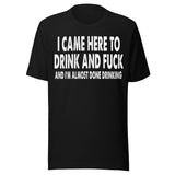 I Came Here To Drink And Fuck Shirt