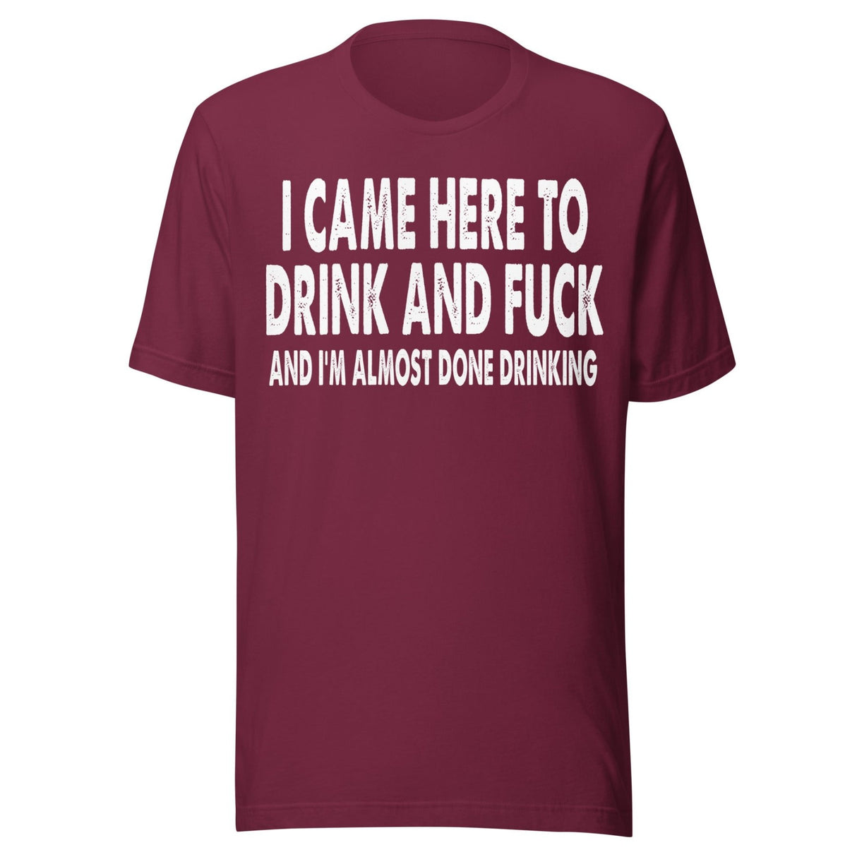 I Came Here To Drink And Fuck Shirt