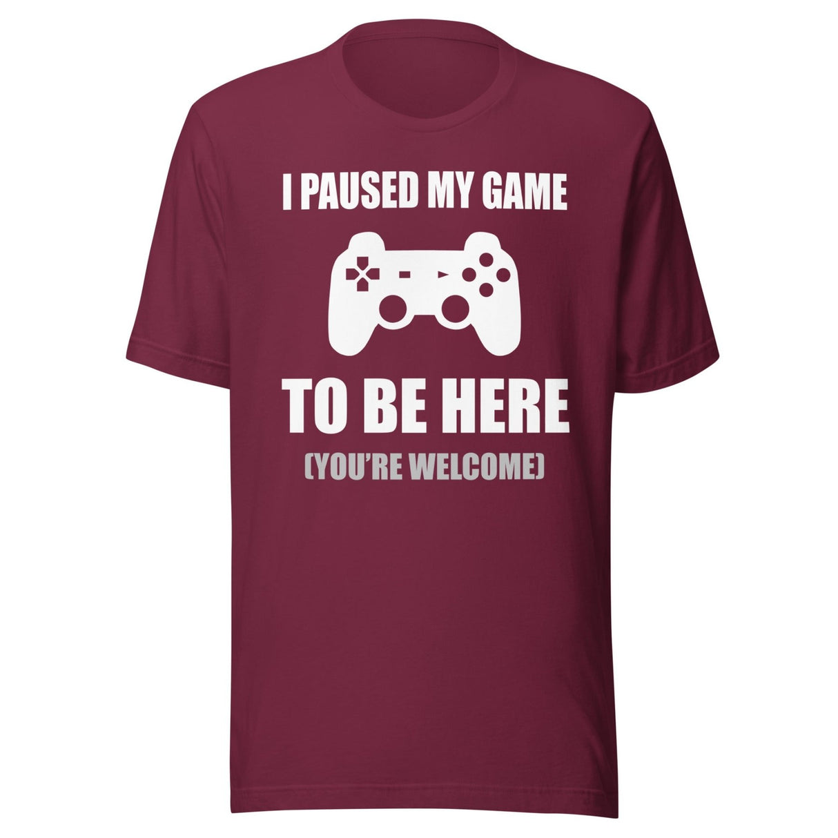 I Paused My Game To Be Here You're Welcome Shirt