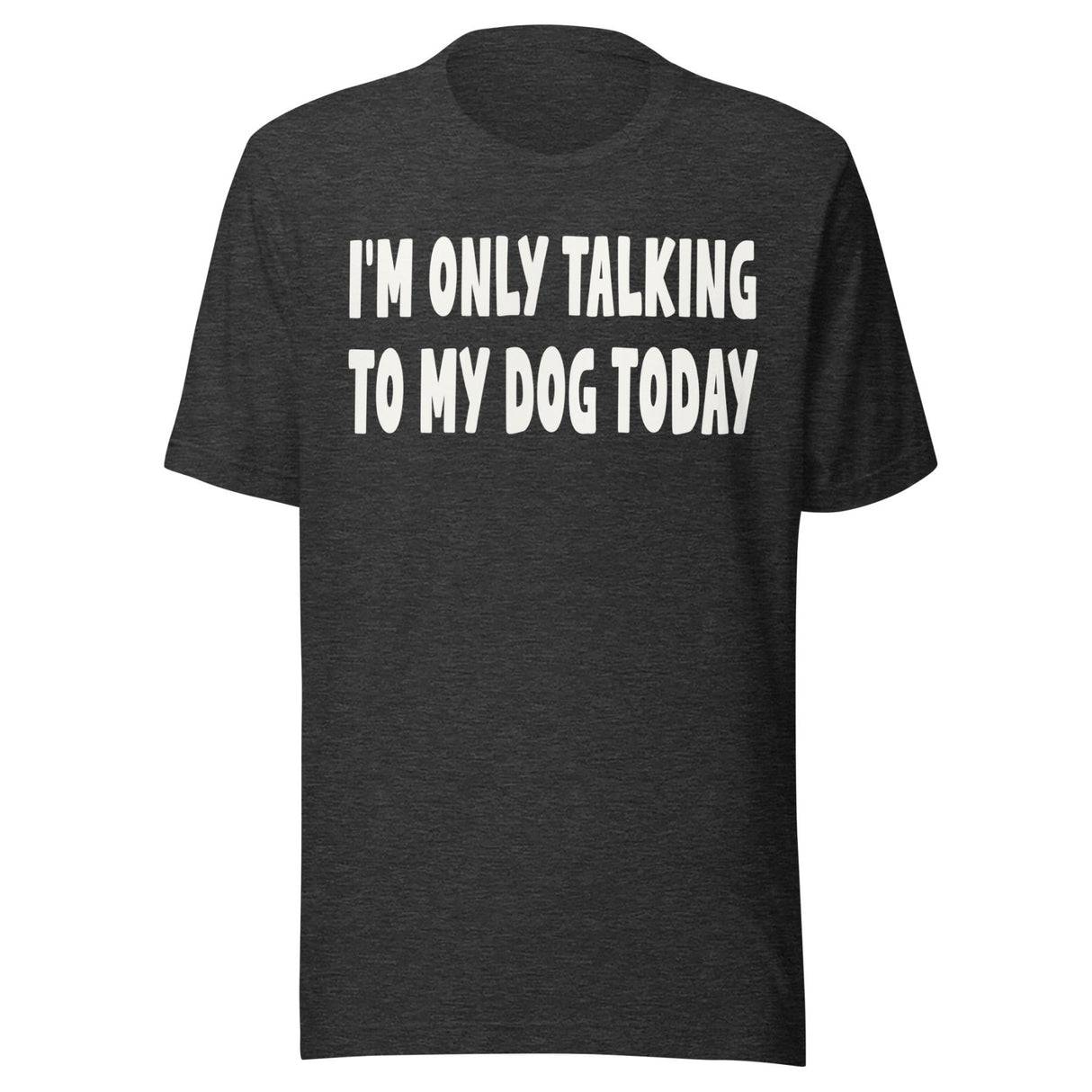 I'm Only Talking To My Dog Today Shirt
