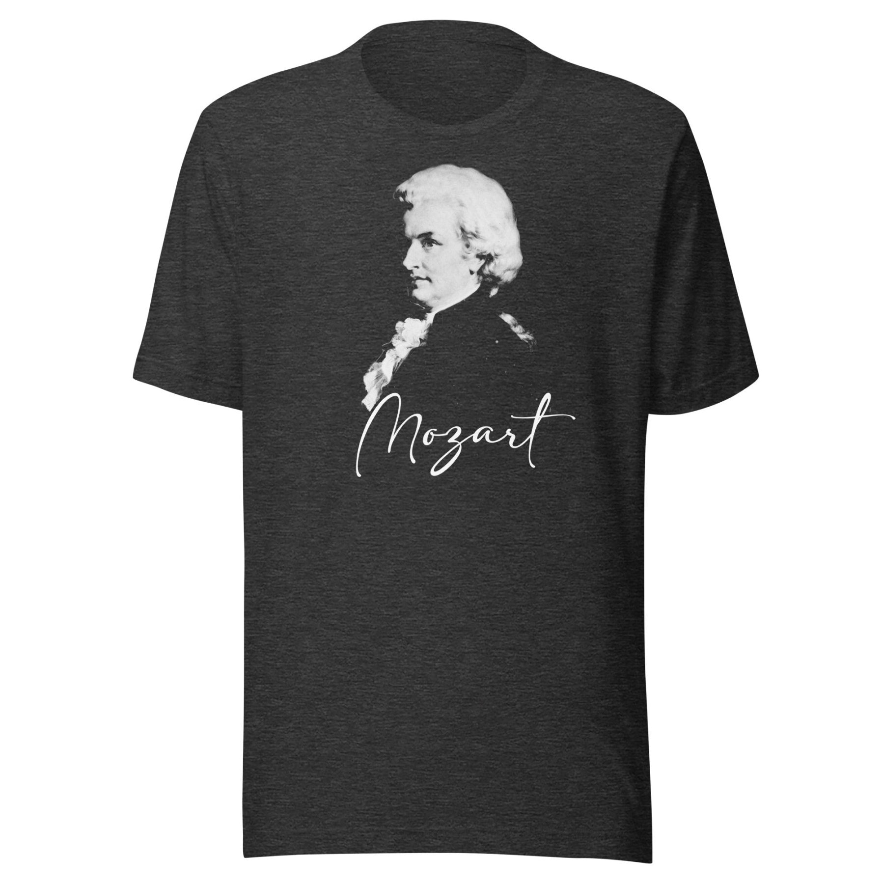 DELICATE UNIT TECHNO MOZART Tシャツ Gray XL Mozart Classical Music Shirt – Tee Shop USA