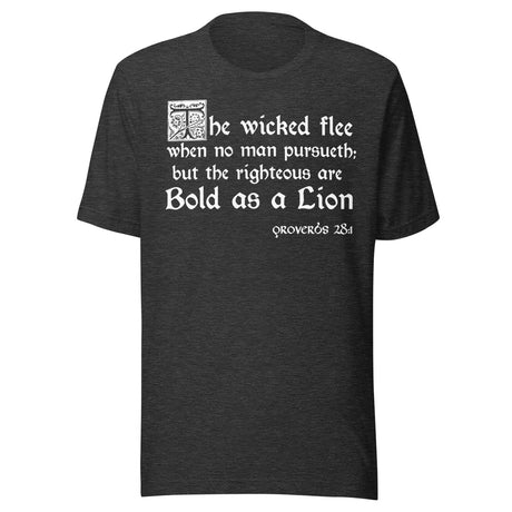 Proverbs 28:1 Shirt