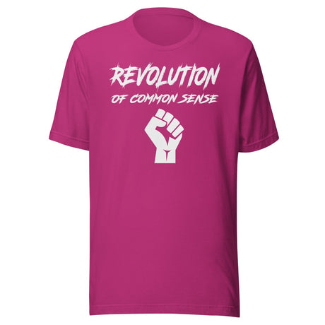Revolution Of Common Sense Shirt