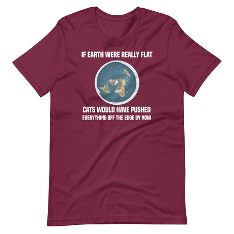 Flat Earth Cat Shirt